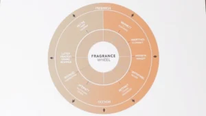 the fragrance wheel fragrance photo 0
