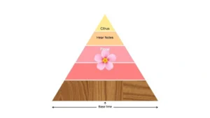 cologne academy fragrance photo 0